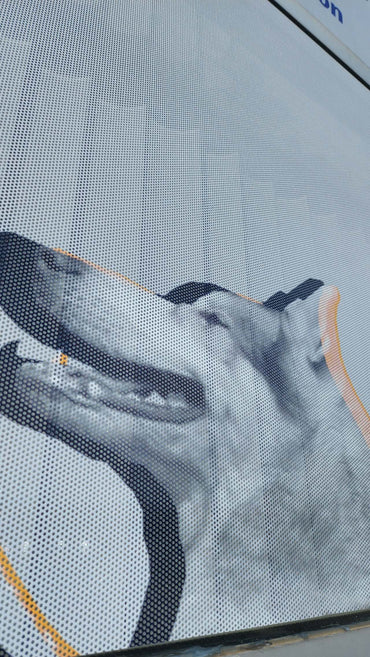 Special Deal- Window Perforation Vinyl