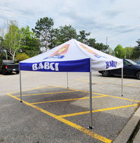 10ft Full Color Canopy Tent