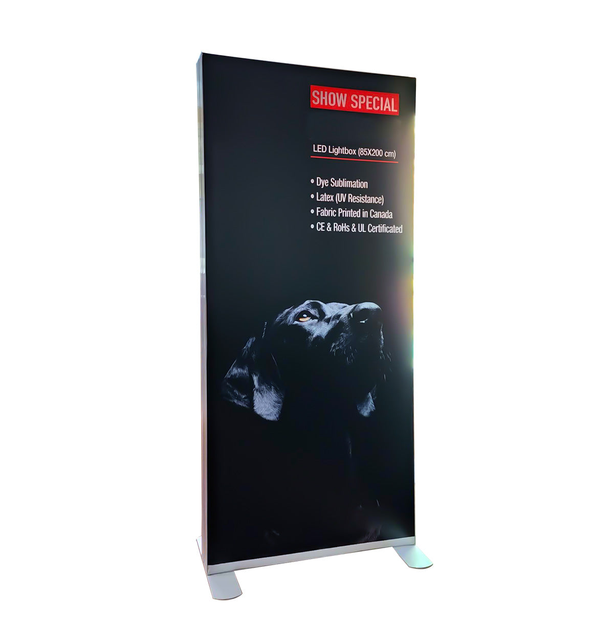 LED Backlit Wall（79"*39"）